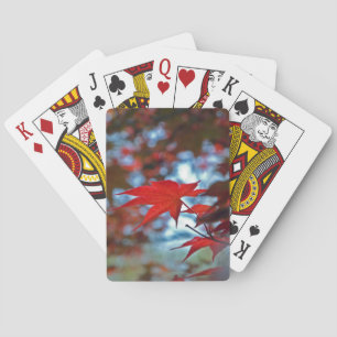 Jeu De Cartes États-Unis, Kansas. Couleurs d'automne
