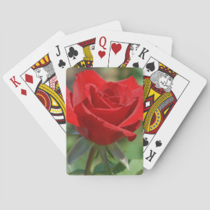 Jeu De Cartes États-Unis, Kansas, Red Rose