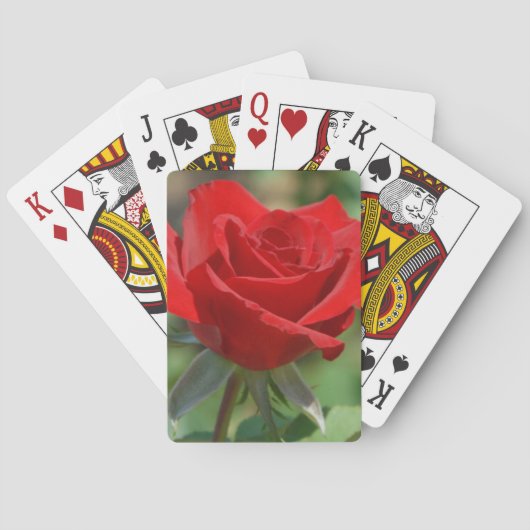 Jeu De Cartes États-Unis, Kansas, Rose rouge (dos)