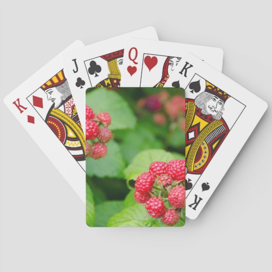Jeu De Cartes États-Unis, Massachusetts, Nantucket. Framboise (dos)