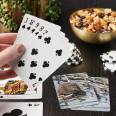 Jeu De Cartes États-Unis, Nebraska. Castor (In Situ)