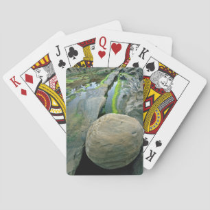 Jeu De Cartes États-Unis, Oregon, Shore Acres State Park