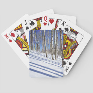 Jeu De Cartes États-Unis, Utah, forêt nationale de Dixie, Aspen