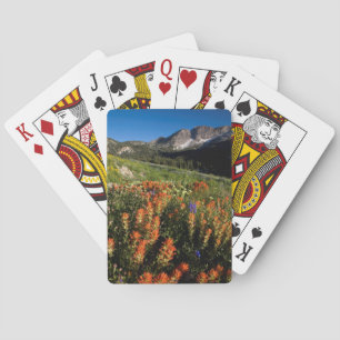 Jeu De Cartes États-Unis, Utah, forêt nationale d'Uinta-Wasatch-
