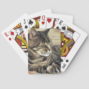 Jeu De Cartes États-Unis, Utah, Parc national de Capitol Reef. C