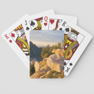 Jeu De Cartes États-Unis, Washington, chaîne des Cascades 4