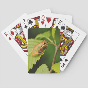 Jeu De Cartes États-Unis, Washington, Seattle, Discovery Park
