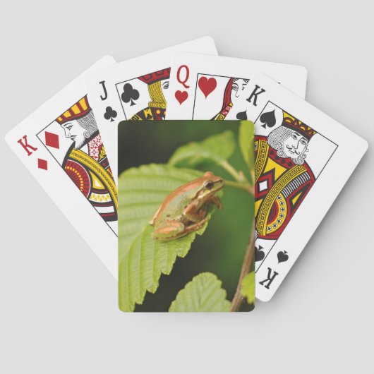 Jeu De Cartes États-Unis, Washington, Seattle, Discovery Park (dos)