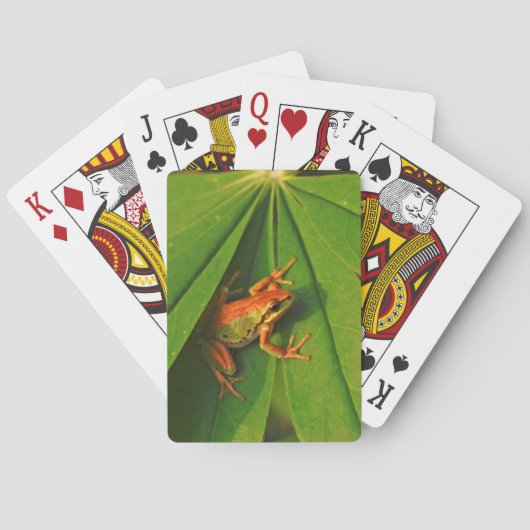 Jeu De Cartes États-Unis, Washington, Seattle, Discovery Park 2 (dos)