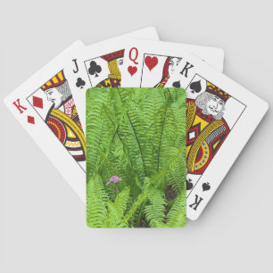 Jeu De Cartes États-Unis, Washington, Seattle, Washington Park