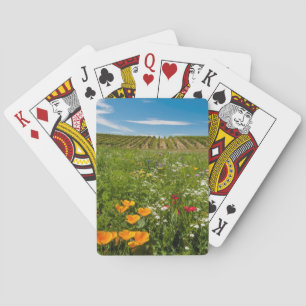 Jeu De Cartes États-Unis, Washington, Walla Walla.Fleurs sauvage