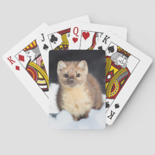 Jeu De Cartes États-Unis, Wyoming, Parc national de Yellowstone