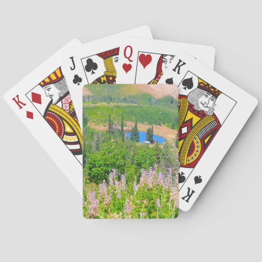 Jeu De Cartes Été de montagne de poudre (dos)