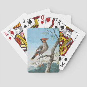 Jeu De Cartes Étude d'oiseau par George Edwards (1694-1773)