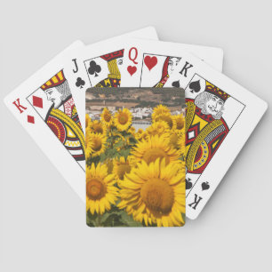 Jeu De Cartes Europe, Espagne, Andalousie, Province de Cadix