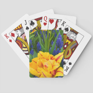 Jeu De Cartes Europe, Pays-Bas, Lisse. Tulipes