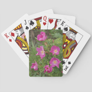 Jeu De Cartes F46 Roses sauvages