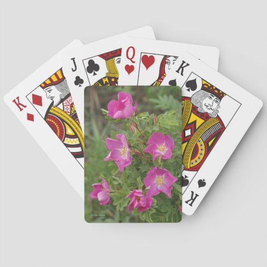 Jeu De Cartes F46 Roses sauvages (dos)