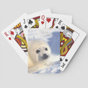 Jeu De Cartes Face de joint