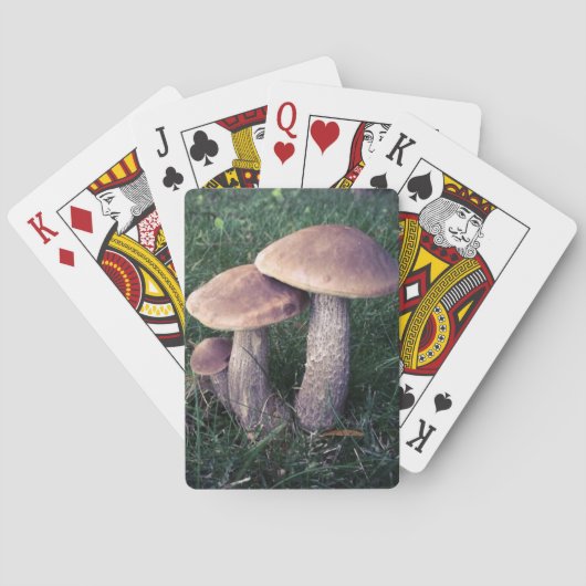 Jeu De Cartes Famille des champignons (dos)
