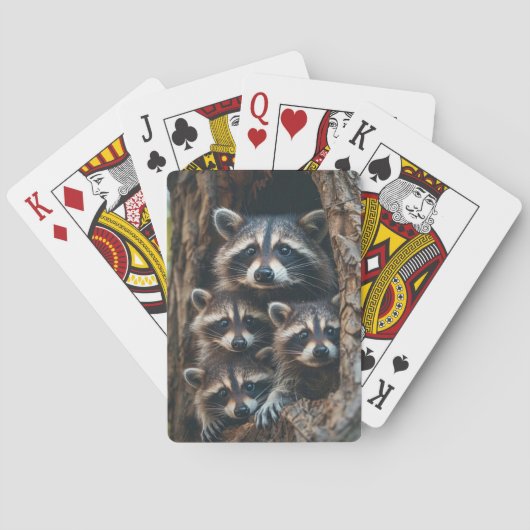 Jeu De Cartes Famille Raccoon (dos)
