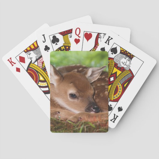 Jeu De Cartes Faon de Cerf à queue blanche âgé de deux jours, Ke (dos)