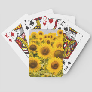 Jeu De Cartes Farms A Sunflower