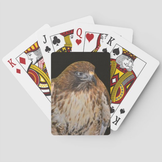 Jeu De Cartes Faucon astucieux (dos)