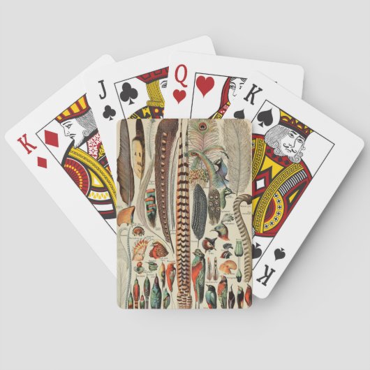 Jeu De Cartes Feather Bird Wildlife Plumes d'antiquités (dos)