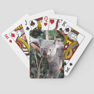 Jeu De Cartes Featherdale Wildlife Park, ours koalas