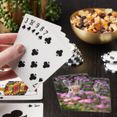 Jeu De Cartes Ferme de lapin (In Situ)