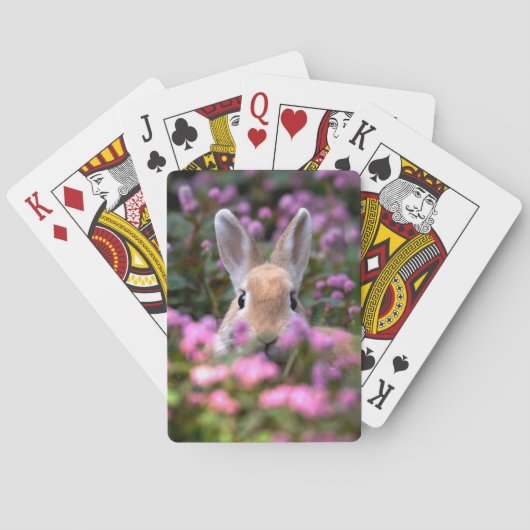 Jeu De Cartes Ferme de lapin (dos)