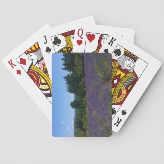 Jeu De Cartes Ferme de Lavender (dos)