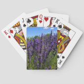 Jeu De Cartes Ferme de Lavender (dos)