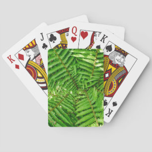 Jeu De Cartes Fermes des bois
