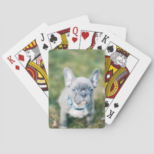 Jeu De Cartes Fermeture d'un chien de taureau français