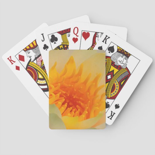 Jeu De Cartes Fermeture D'Une Lys D'Eau (dos)