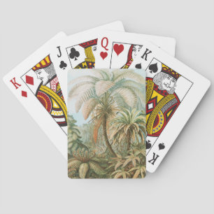 Jeu De Cartes Ferns, Filicinae Laubfarne par Ernst Haeckel