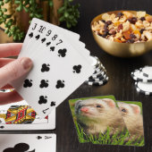 Jeu De Cartes Ferret de sable dans l'herbe (In Situ)