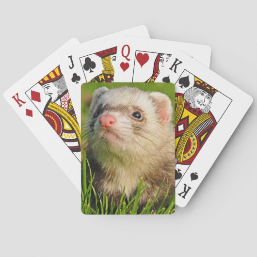 Jeu De Cartes Ferret de sable dans l'herbe (dos)