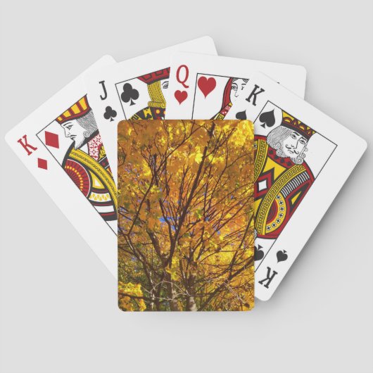 Jeu De Cartes Feuillage jaune d'automne (dos)