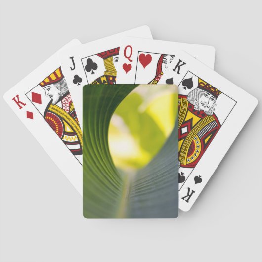 Jeu De Cartes Feuille de bananier (dos)