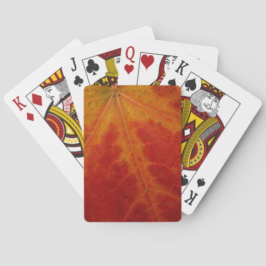 Jeu De Cartes Feuille d'érable rouge Abstraite Automne Photograp (dos)