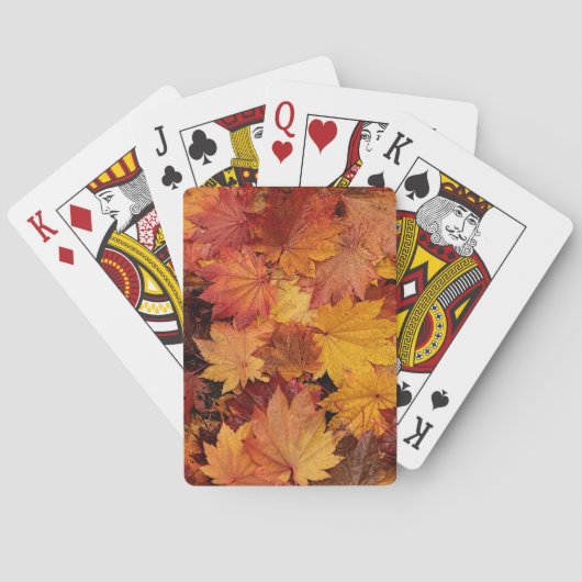 JEU DE CARTES FEUILLE D'OR DE L'AUTOMNE (dos)