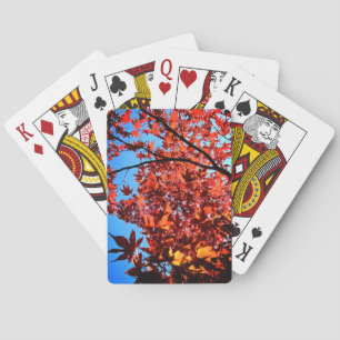 Jeu De Cartes feuilles Brown