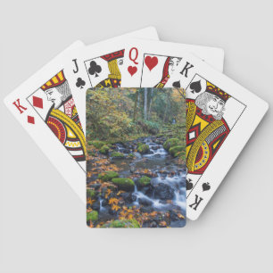 Jeu De Cartes Feuilles d'automne éparpillées le long du ruisseau