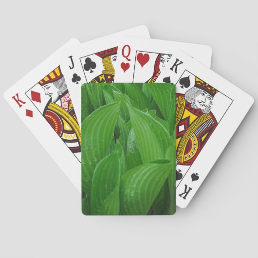Jeu De Cartes Feuilles Hosta avec Raindrops Jouer des cartes (dos)