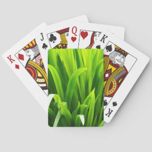 Jeu De Cartes Feuilles rétro-éclairées dans un jardin