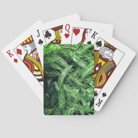 Jeu De Cartes Feuilles verts (dos)