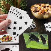 Jeu De Cartes Fiches enormes de machaon noir (In Situ)